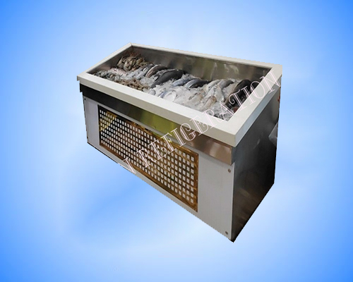 SS Refrigerated Fish Bed